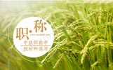 河北中級職稱申報材料填寫怎么搞？有什么填寫技巧呢？