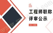 2020年河北省工程師職稱評審公示：中級化工工程專業(yè)！