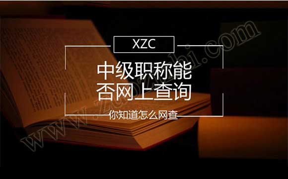 工程師職稱查詢系統(tǒng)