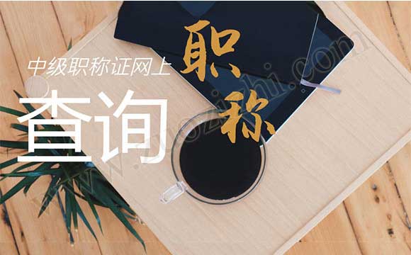 中級職稱證網(wǎng)上查詢