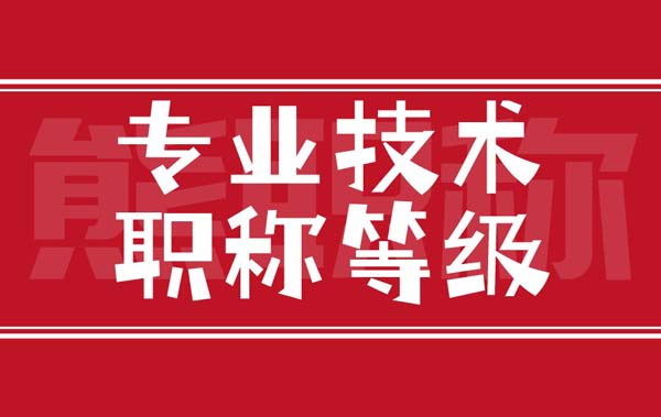 專業(yè)技術(shù)職稱等級(jí)