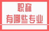 職稱有哪些專業(yè)？新版河北省職稱專業(yè)一覽表！