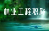 2022年河北省：林業(yè)專業(yè)中級職稱評審公示名單