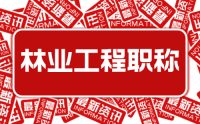 2023年新版：河北省工程系列林業(yè)專業(yè)工程師職稱申報(bào)評(píng)審條件