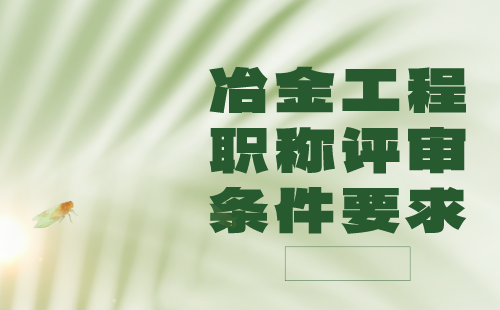 2024年申報職稱：冶金工程系列冶金工程專業(yè)正高級職稱評審