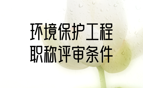 2024年申報職稱證書：環(huán)境保護(hù)工程系列環(huán)境保護(hù)及評價工程技術(shù)專業(yè)正高級職