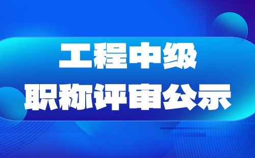 工程中級職稱評審公示